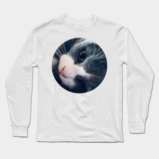 Playful Cat / Pictures of My Life Long Sleeve T-Shirt